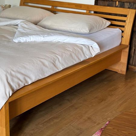 Wohnung Magdalena Фельдкірхен-ін-Кернтен Екстер'єр фото